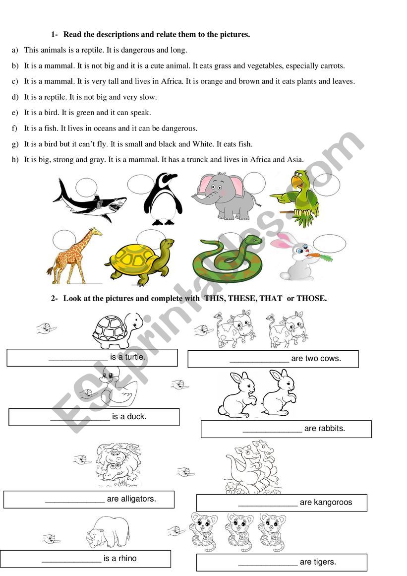 Animals activities worksheet