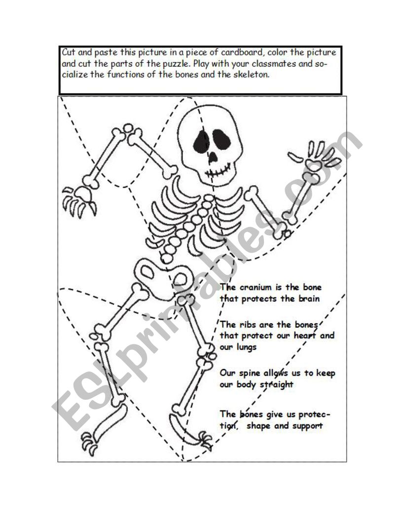 The skeleton puzzle ESL worksheet by karenlore29