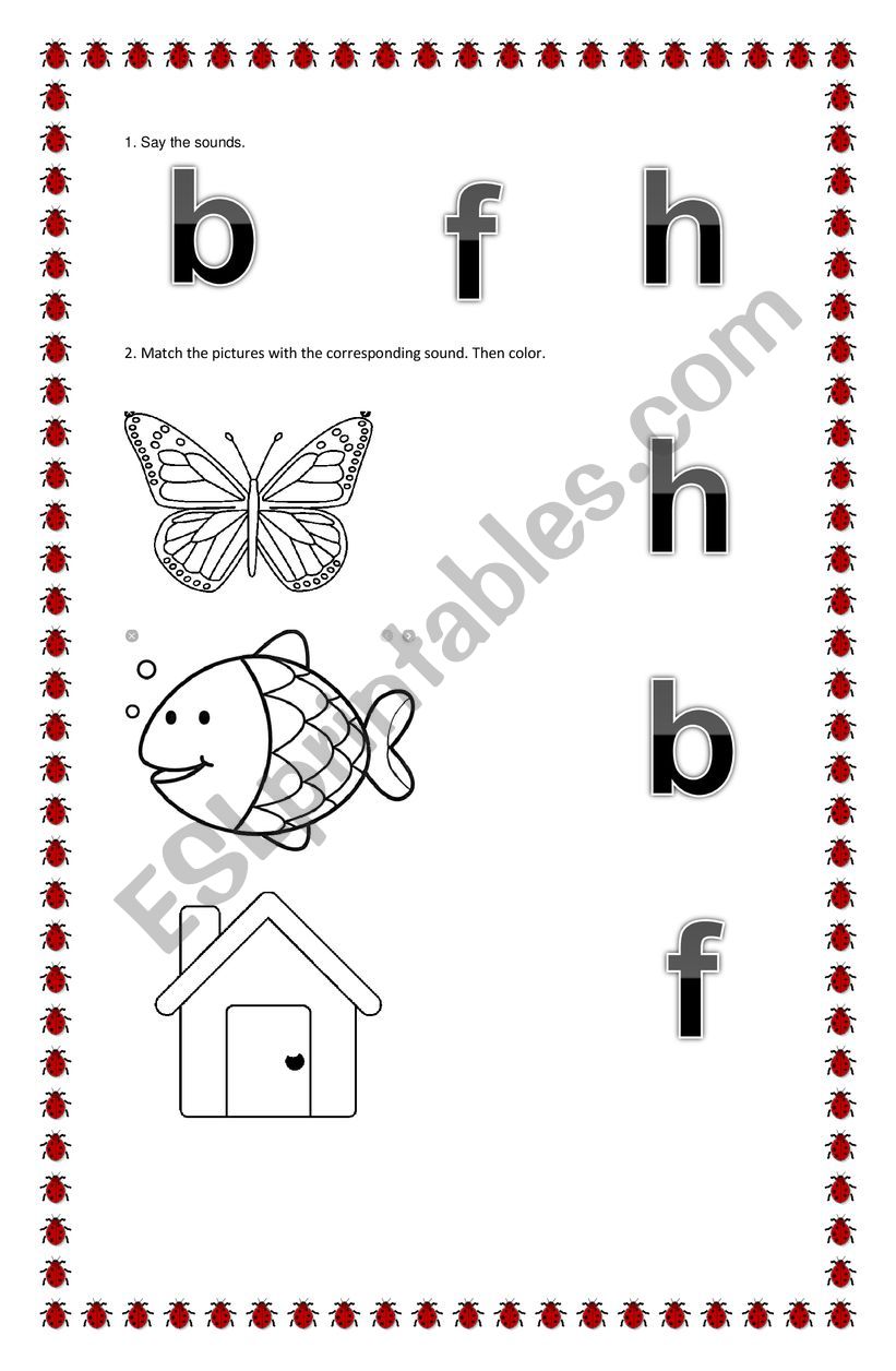 Phonic b h f sounds worksheet