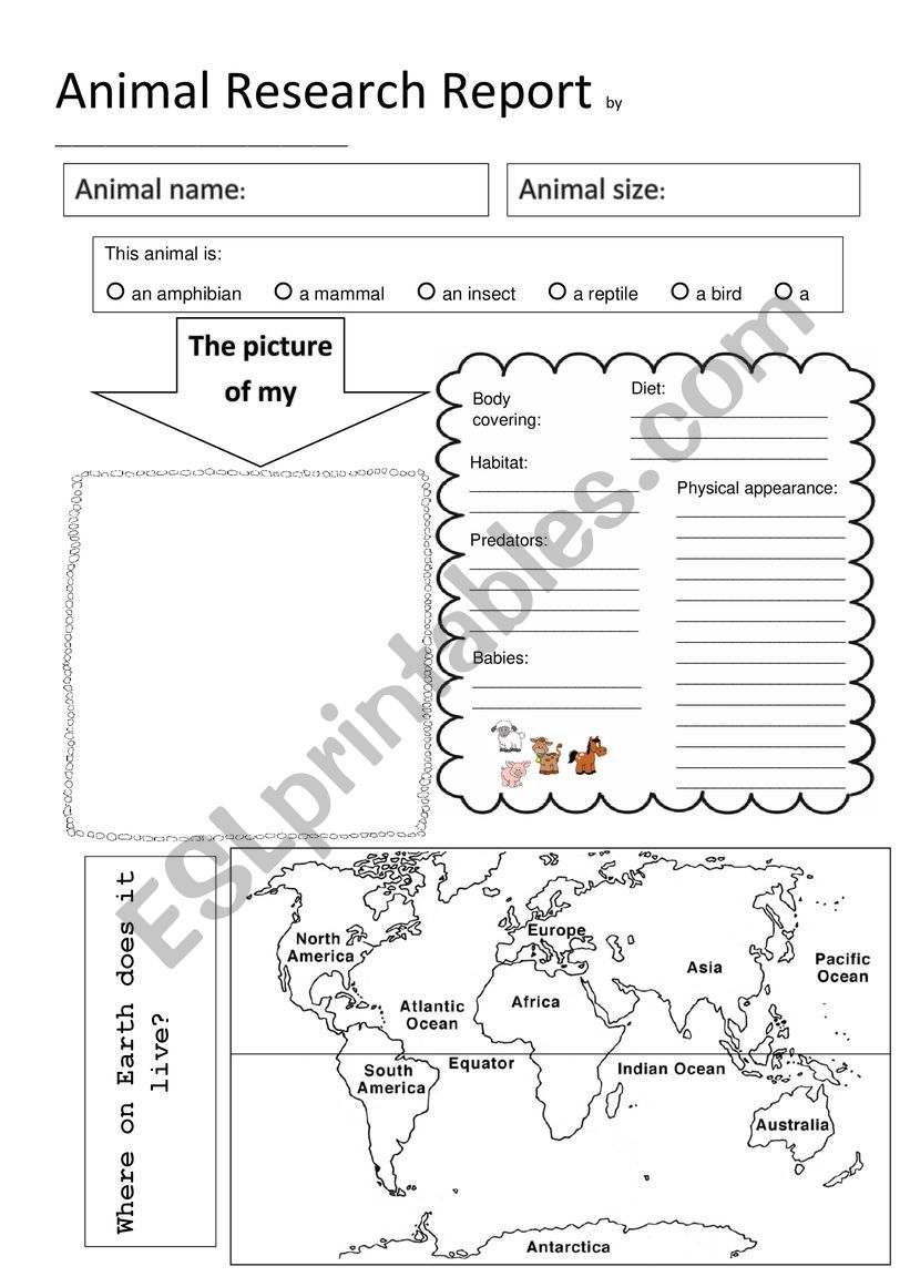 research question examples animals