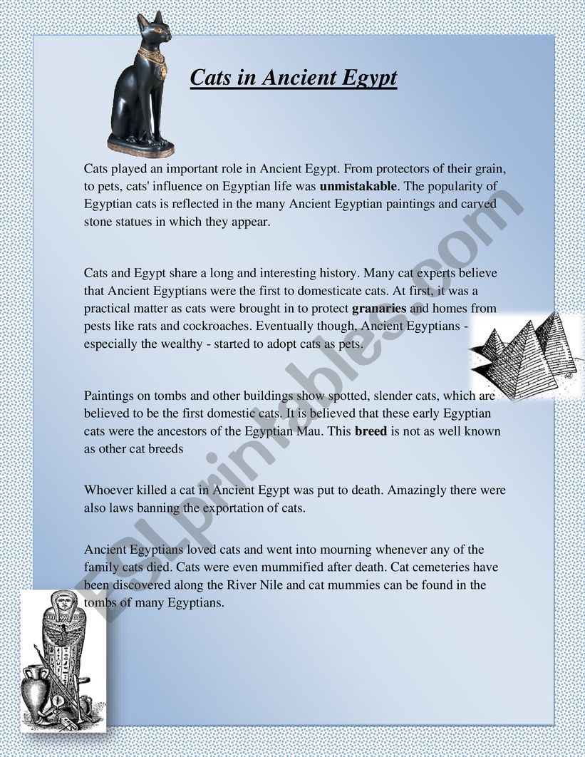 cats in ancient egypt worksheet