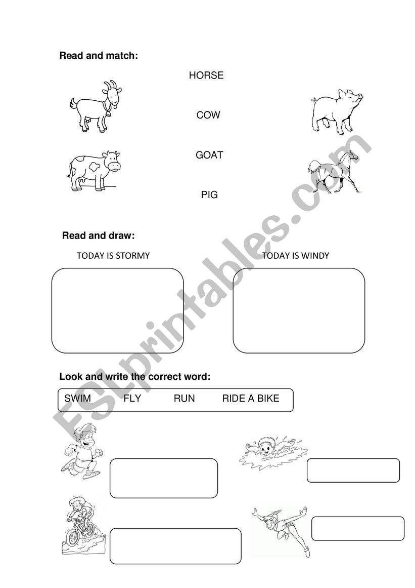 ANIMALS  WEATHER  ACTIONS worksheet