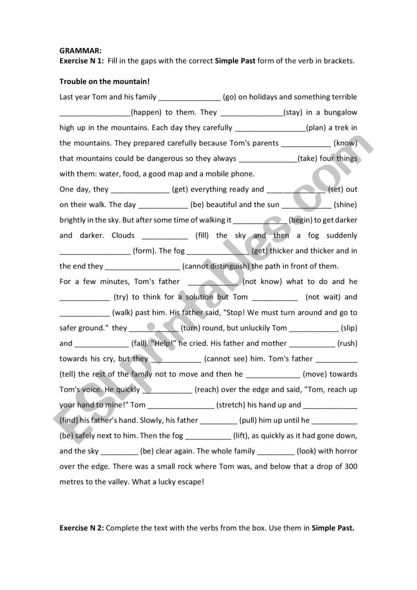 Simple Past worksheet