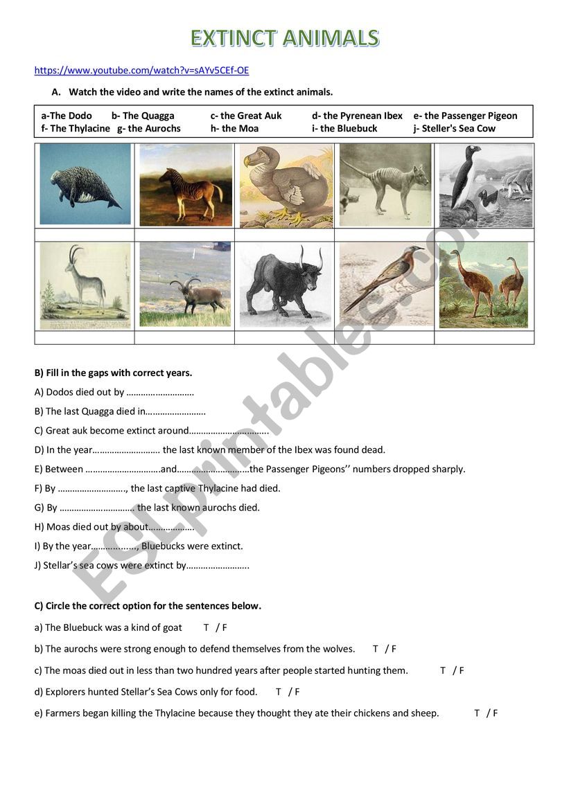 Extinct Animals Video Lesson +Answer Key