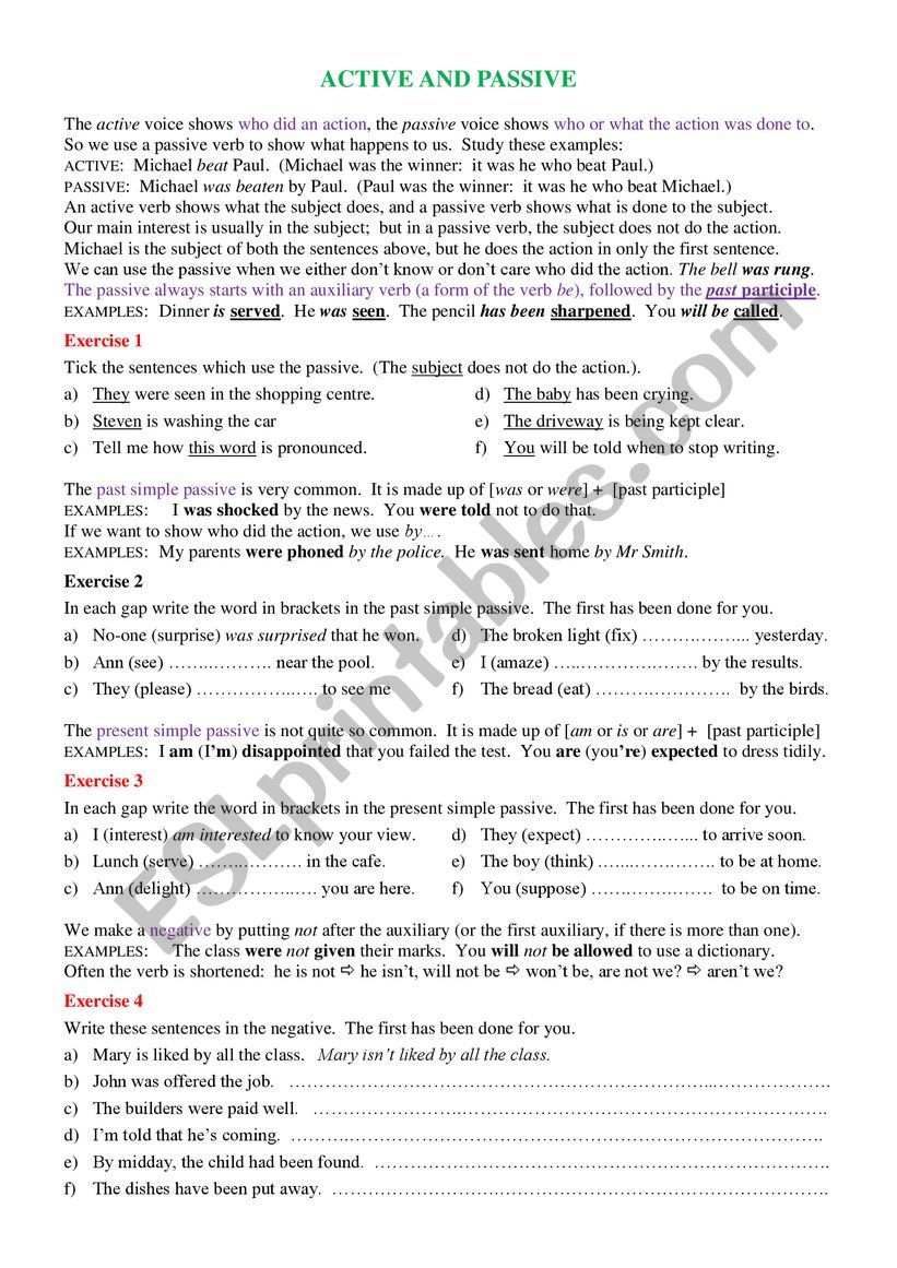 Active and Passive worksheet