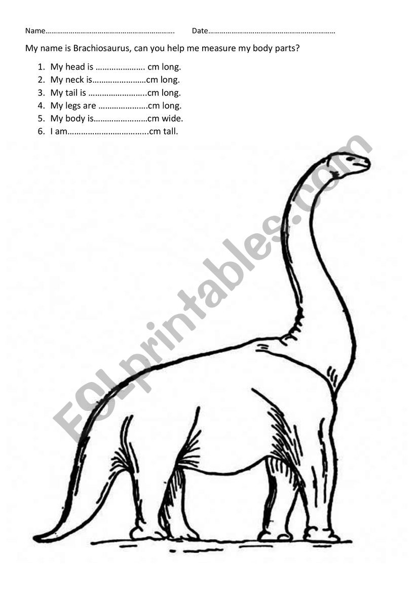 Brachiosaurus, measure me worksheet