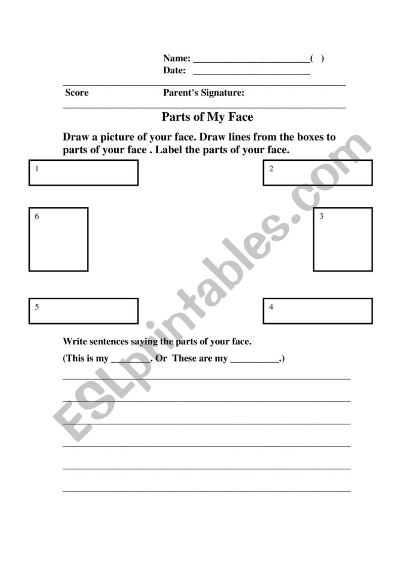 Parts of my Face  worksheet