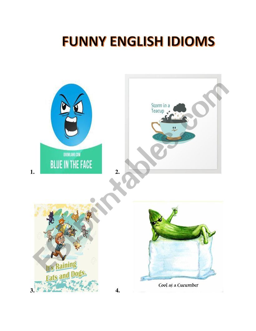 Funny Idioms worksheet