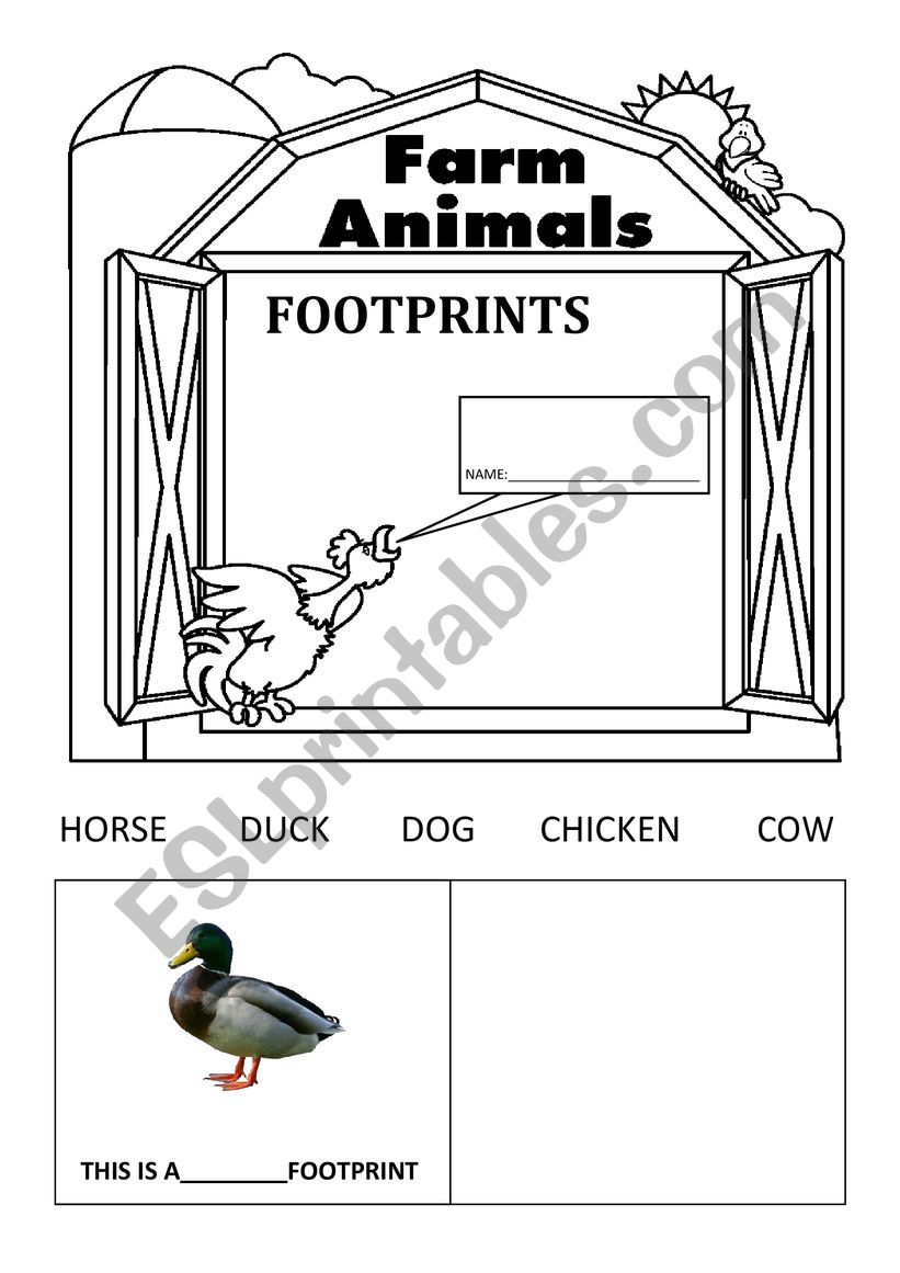 Farm animals footprints worksheet