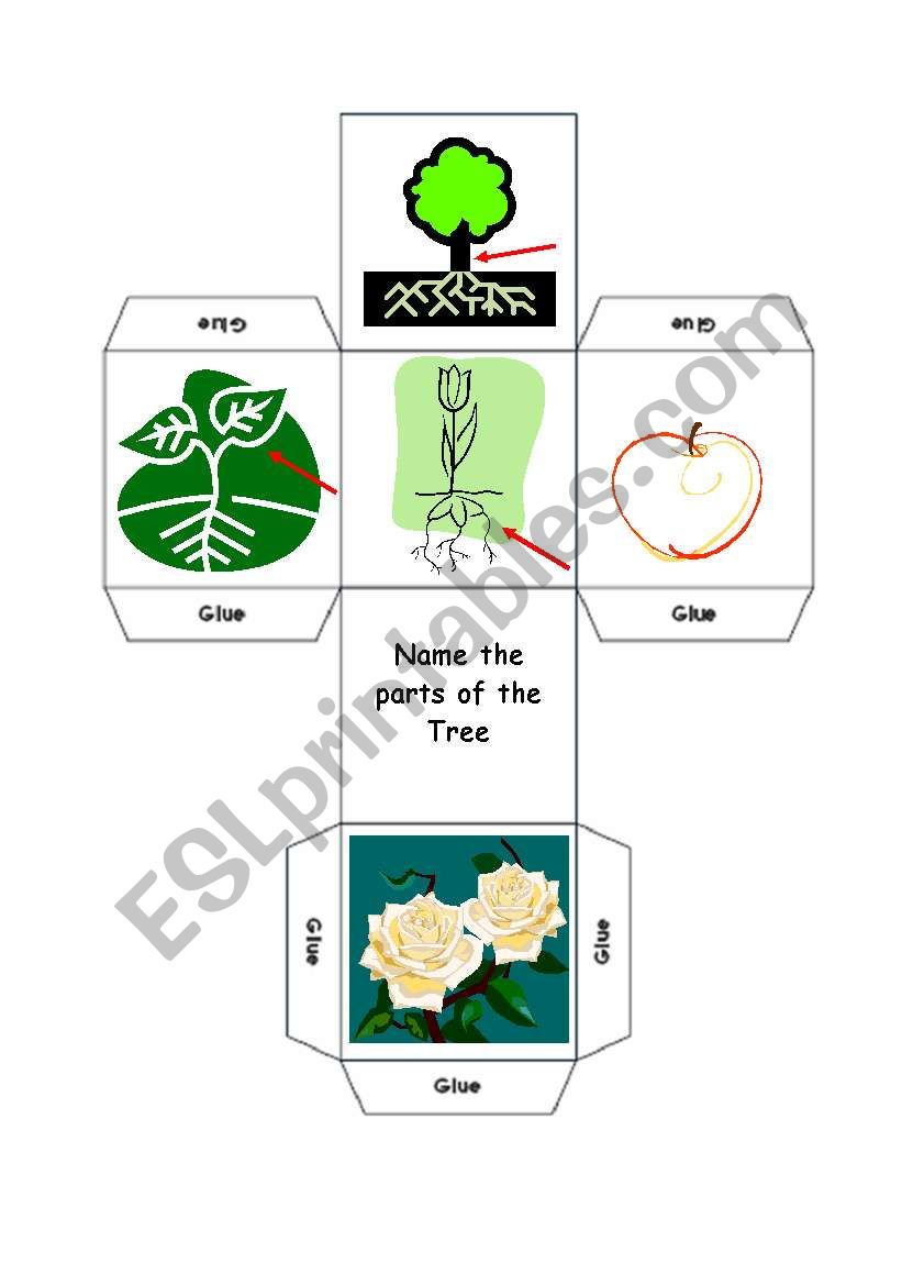 Parts of the Tree worksheet