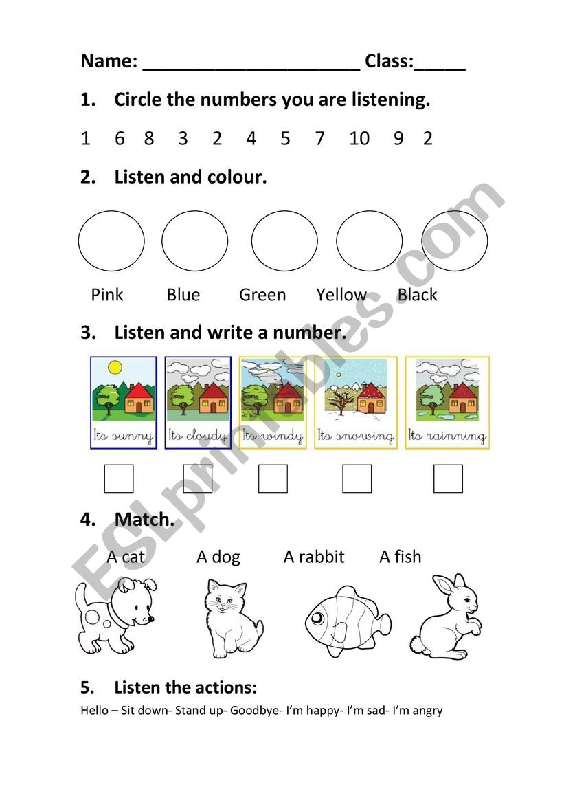 initial assesment  worksheet