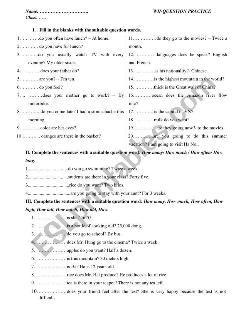 Wh question exercise worksheet