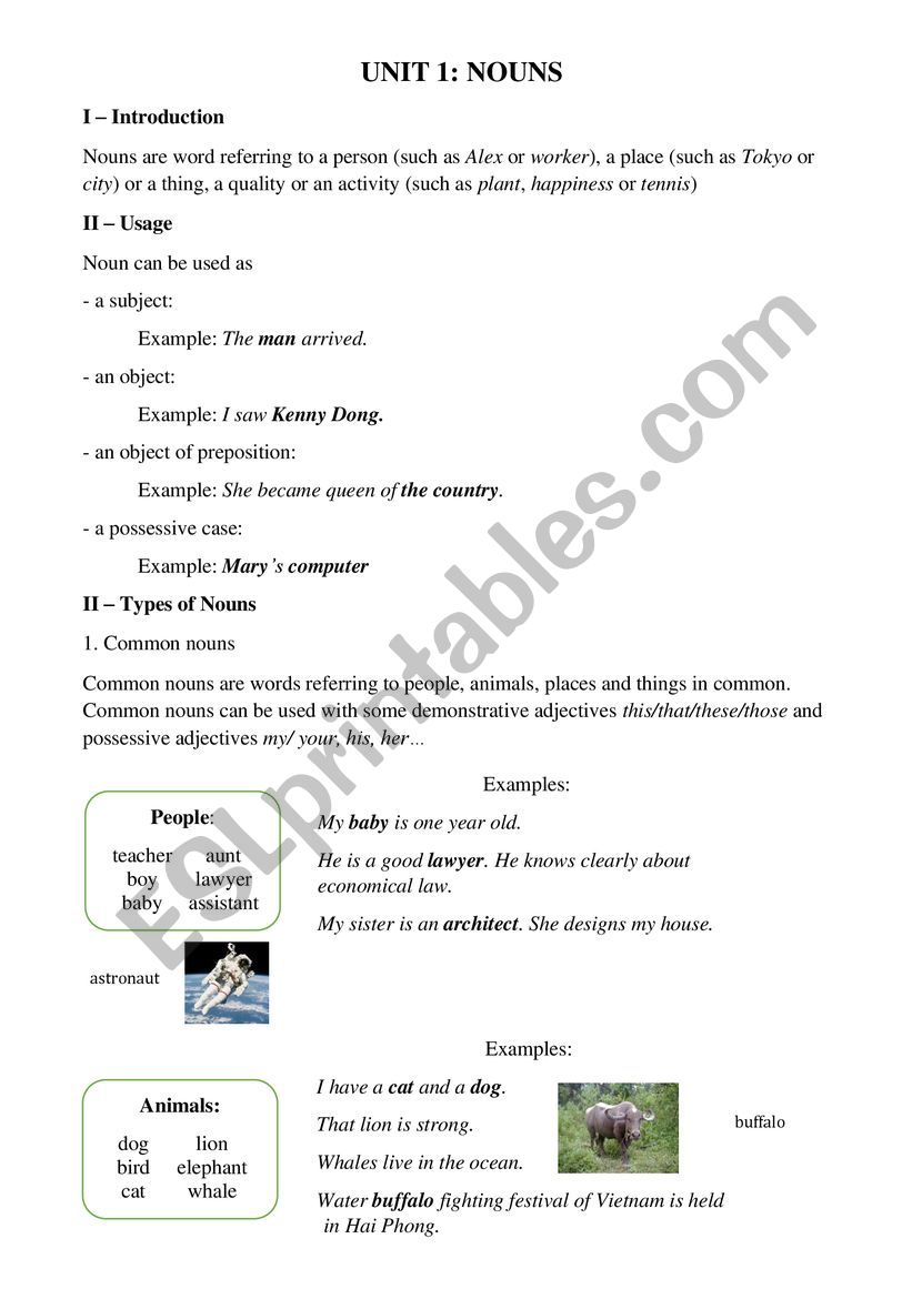 Unit 1: Nouns worksheet