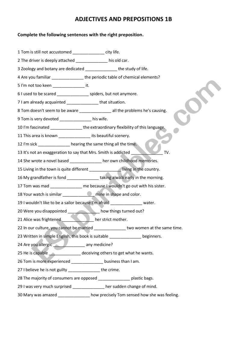 Adjectives and prepositions worksheet