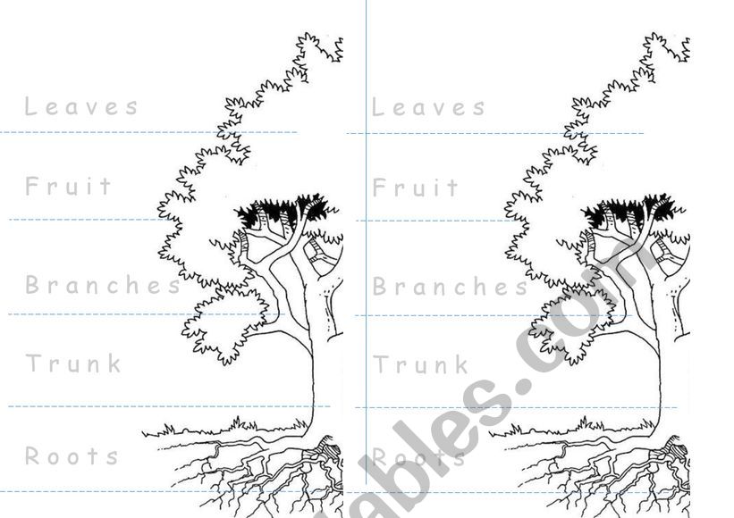 Parts of A tree craft worksheet