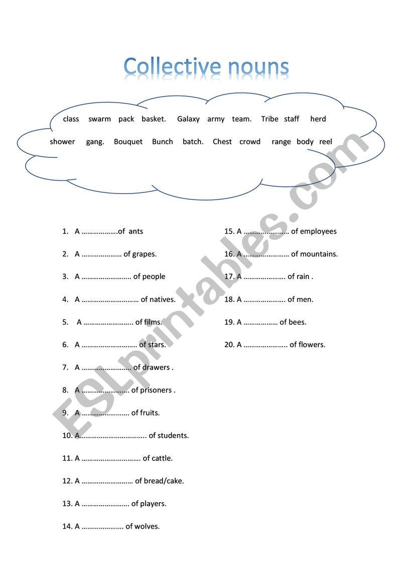 collective nouns  worksheet