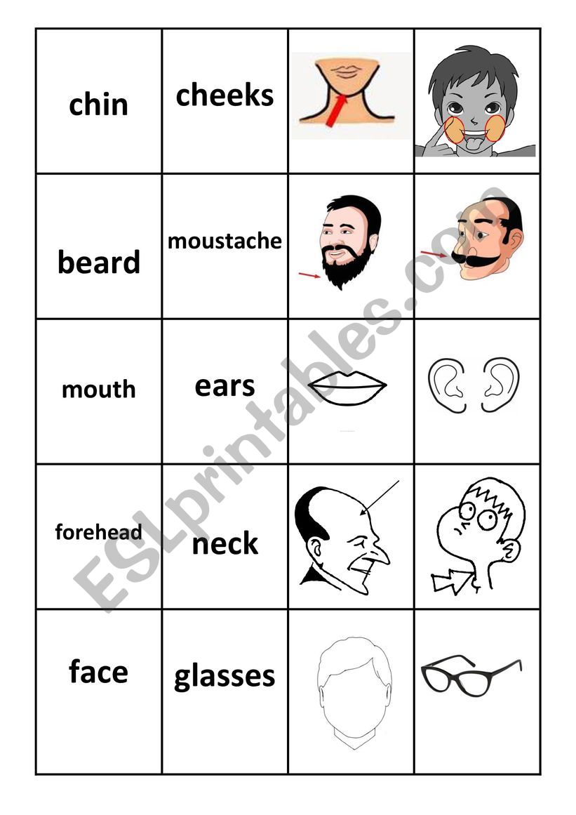 Parts of face Memory Game worksheet