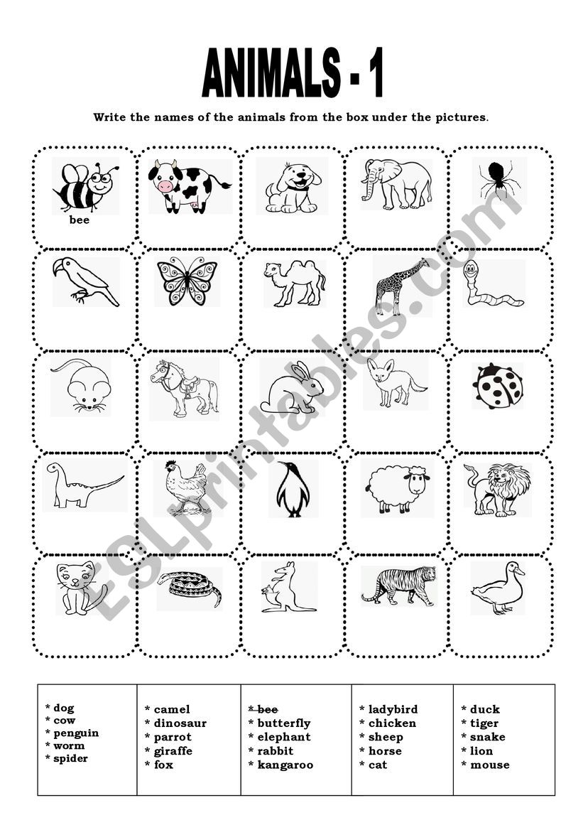 ANIMALS - 1  (VOCABULARY EXERCISE) 