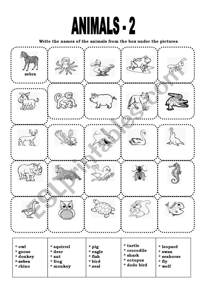 ANIMALS - 2  (VOCABULARY EXERCISE) 