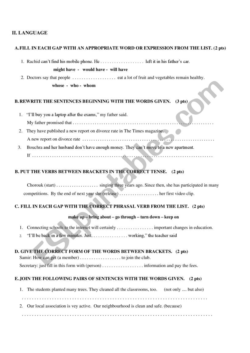 language worksheet