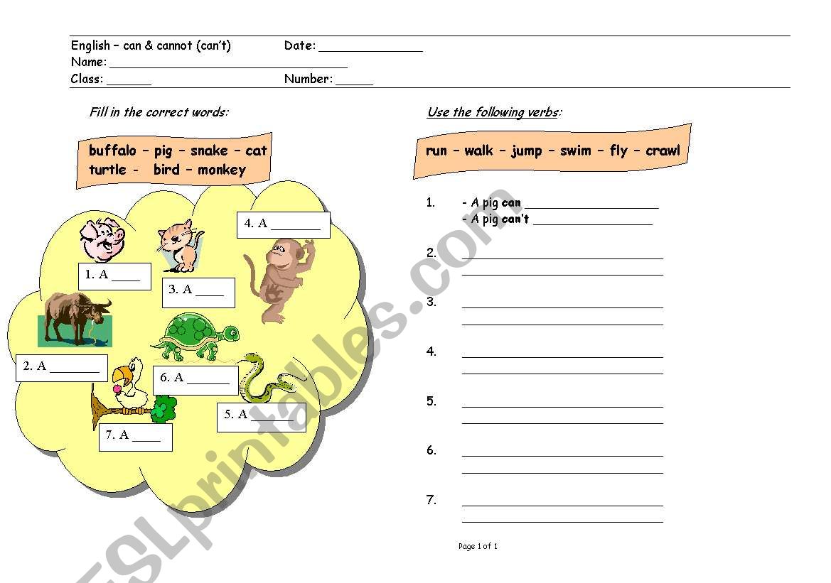 Worksheet (can / cant) worksheet