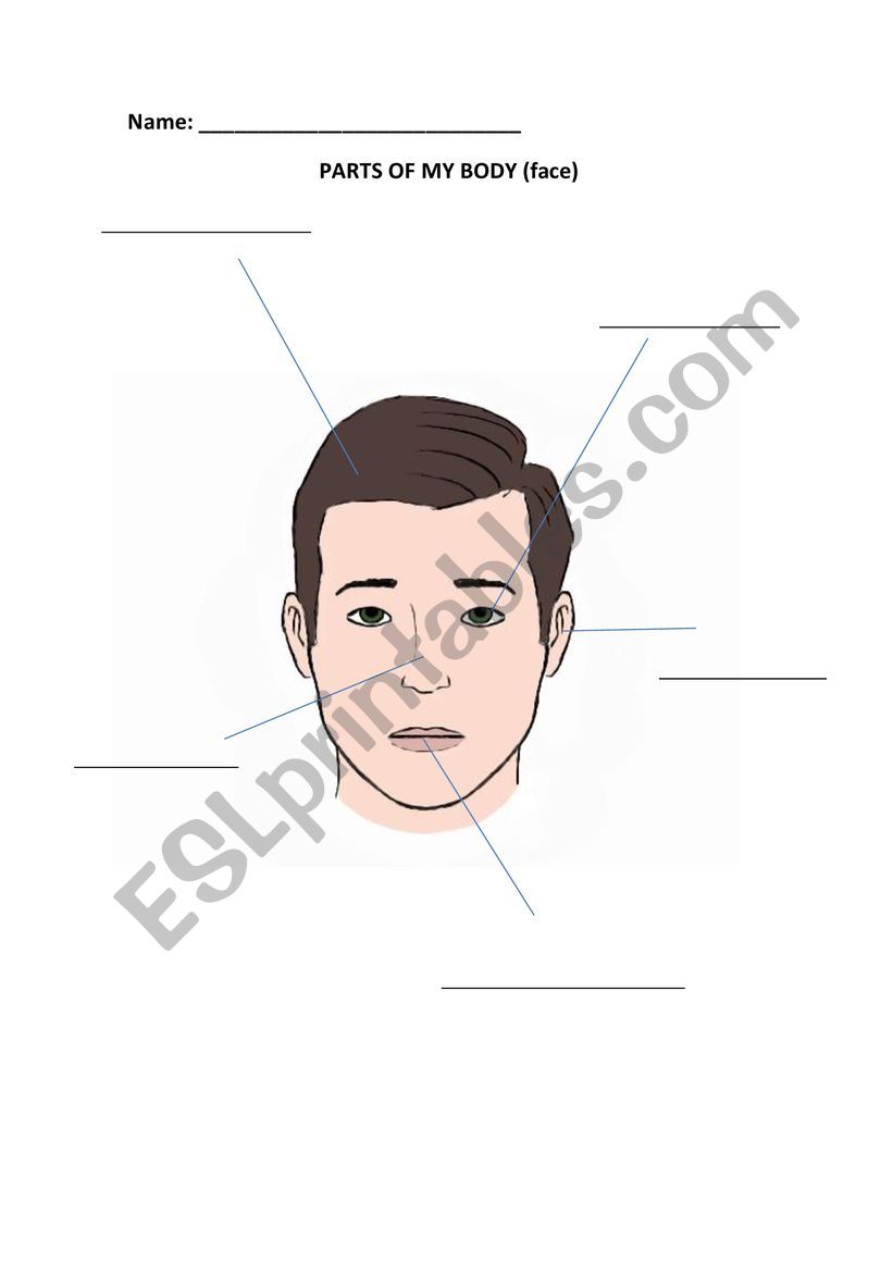MY BODY PARTS  worksheet