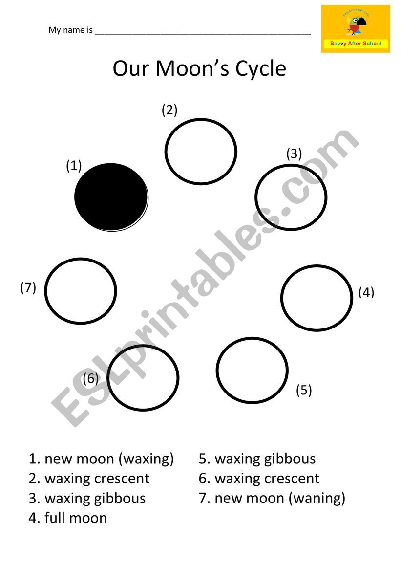 Moon Phases - ESL worksheet by ledbookhockey With Regard To Moon Phases Worksheet Pdf
