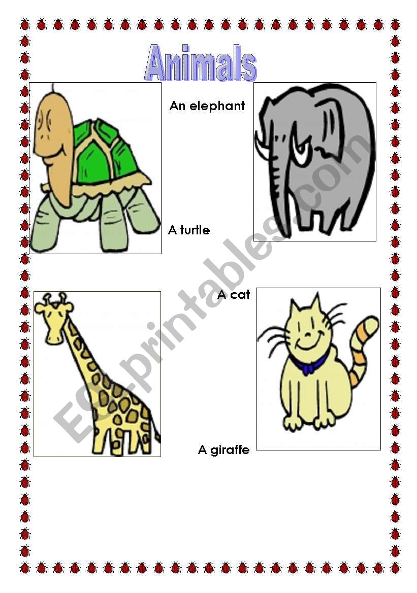 animals worksheet