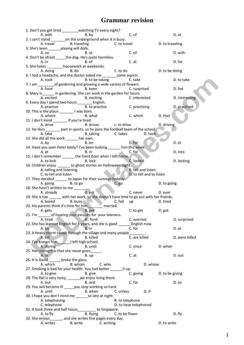 grammar revision worksheet