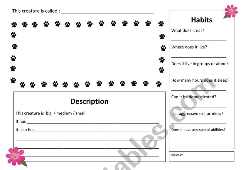 Design your fantastic animal worksheet