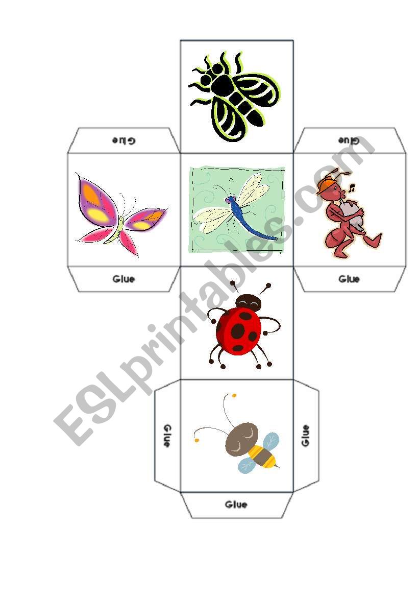 BUGS - INSECTS worksheet