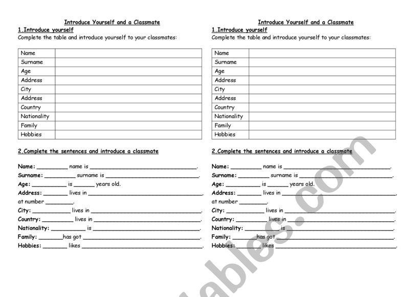 introduction worksheet