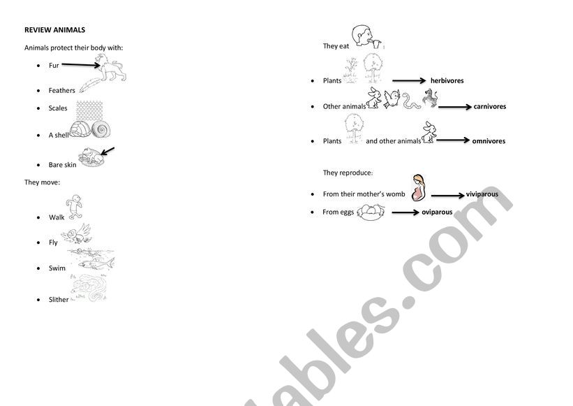 ANIMALS: BODY, MOVEMENT, NUTRITION AND REPRODUCTION