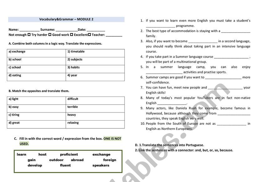 Vocabulary and grammar test - Studying abroad - 