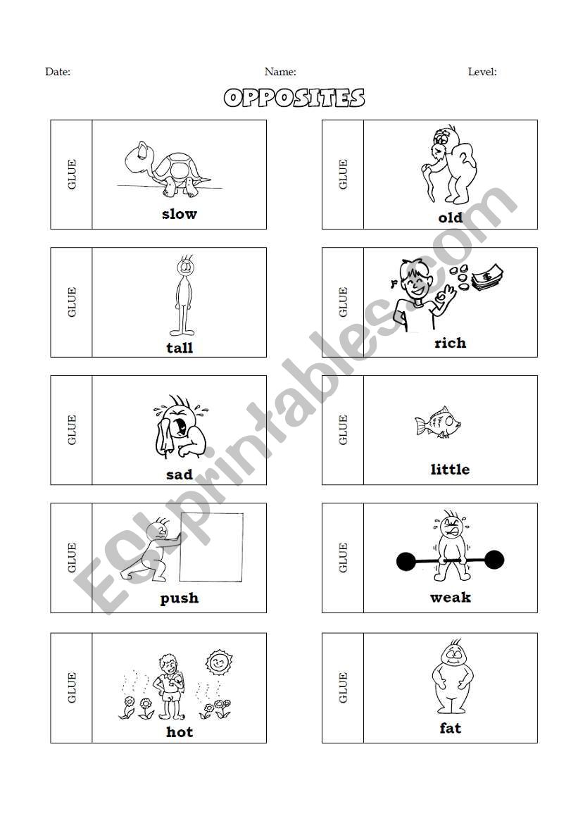 Opposites worksheet