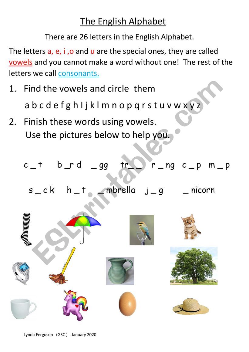 The English Alphabet Vowels  worksheet