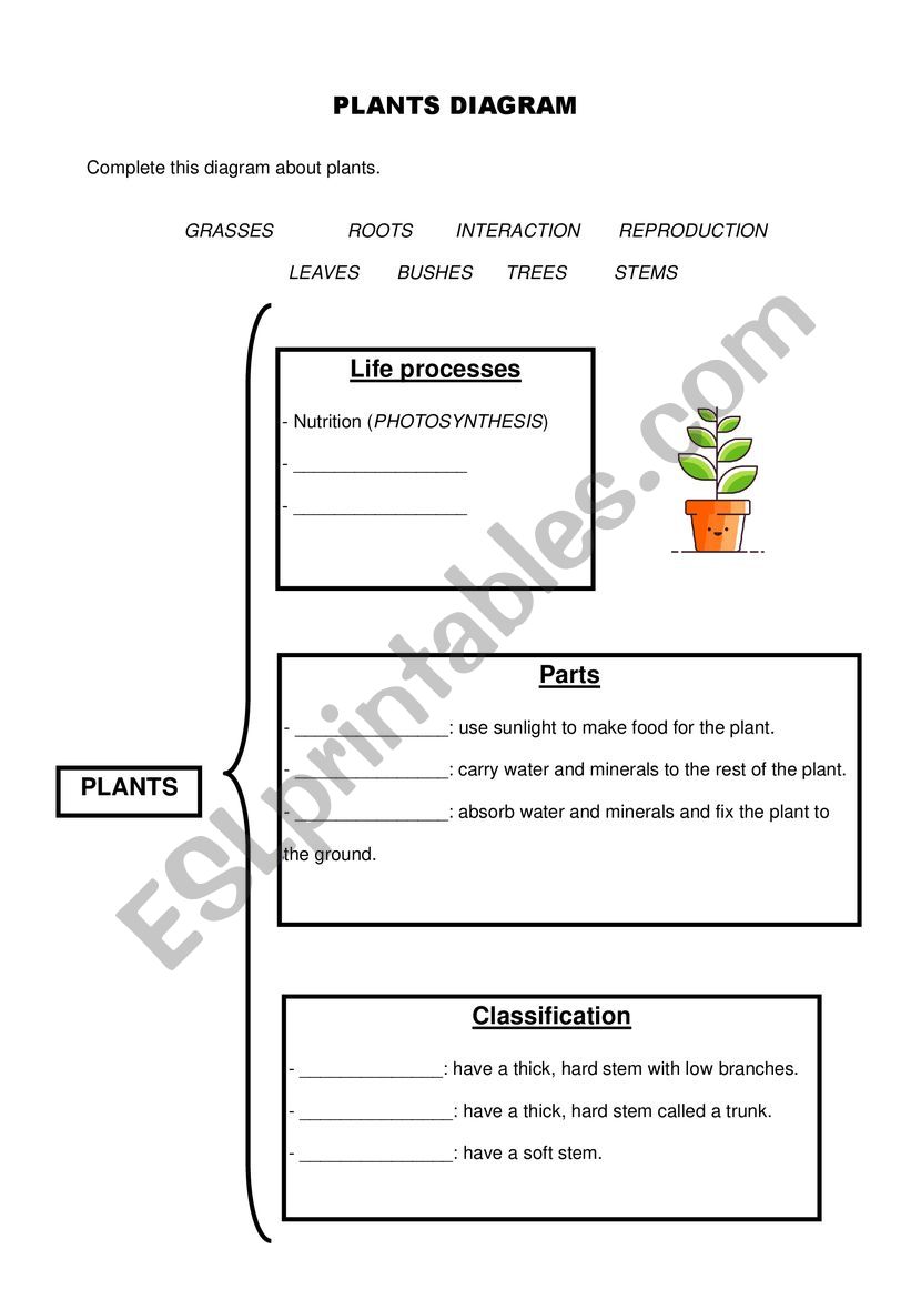 Plants review worksheet
