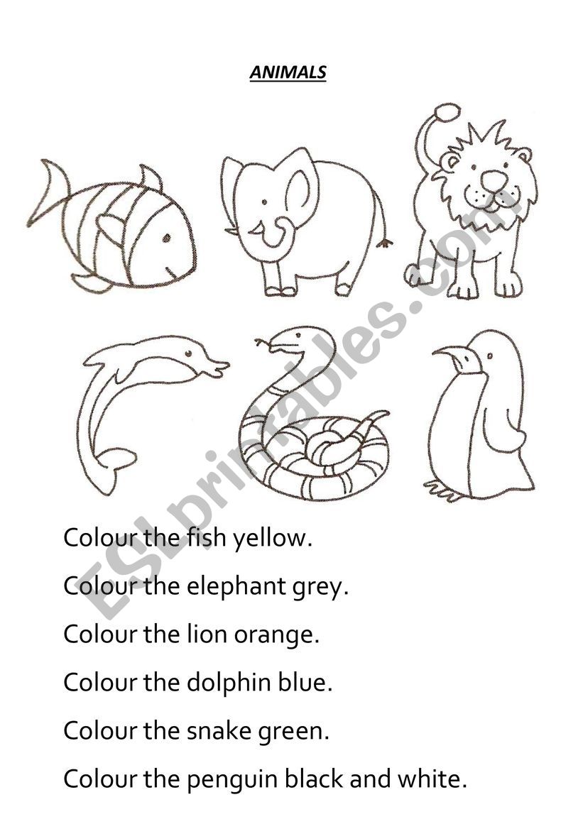 Animal colouring sheet worksheet