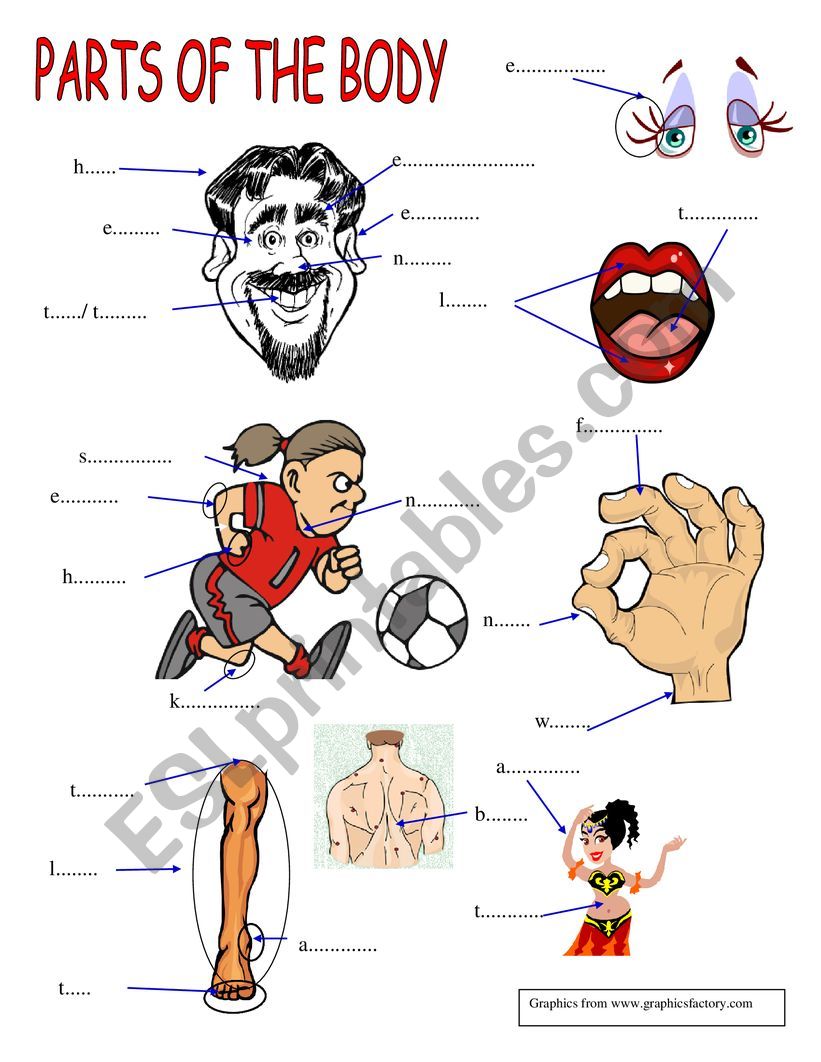 body exam worksheet