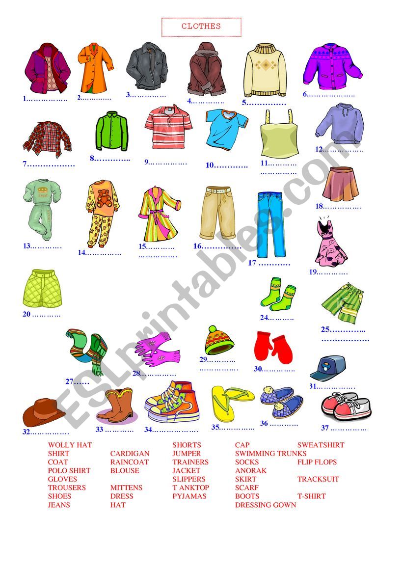 clothes worksheet