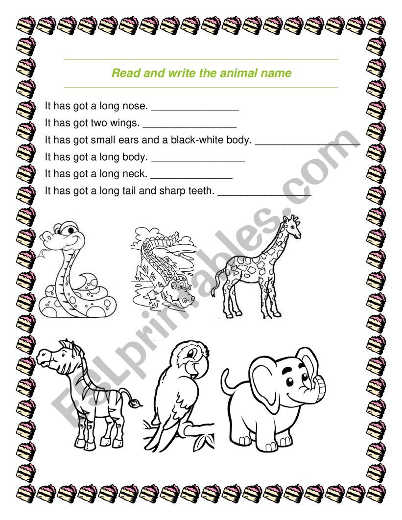 Guess the animal worksheet