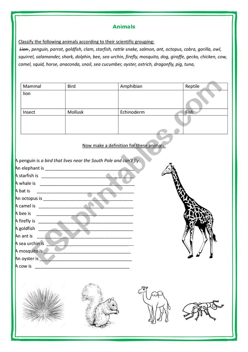 Animals worksheet