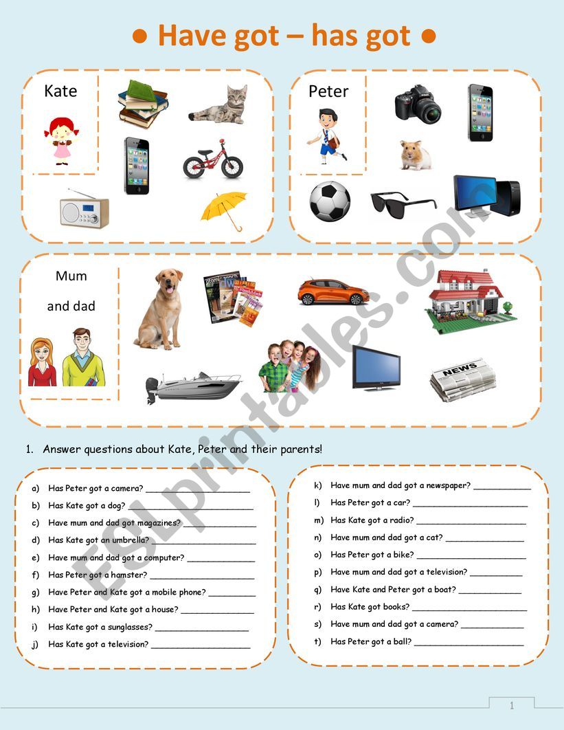 What have they got?  worksheet