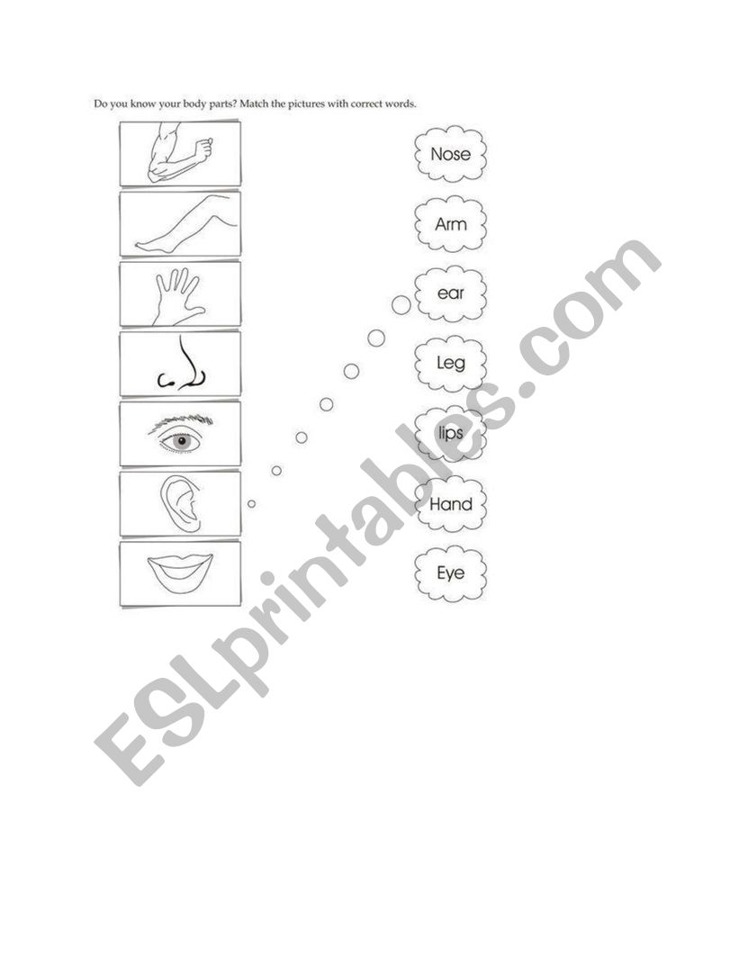 matching worksheet worksheet