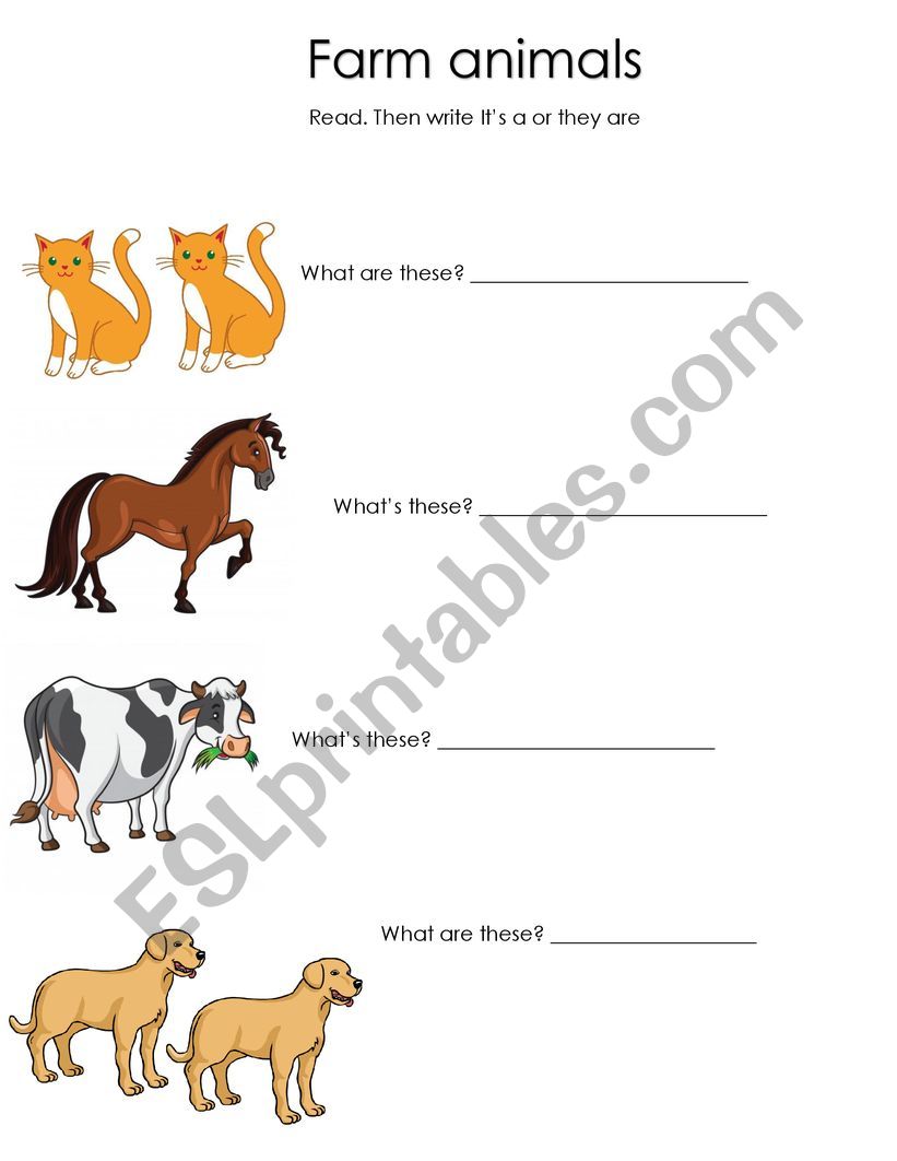 FARM ANIMALS worksheet