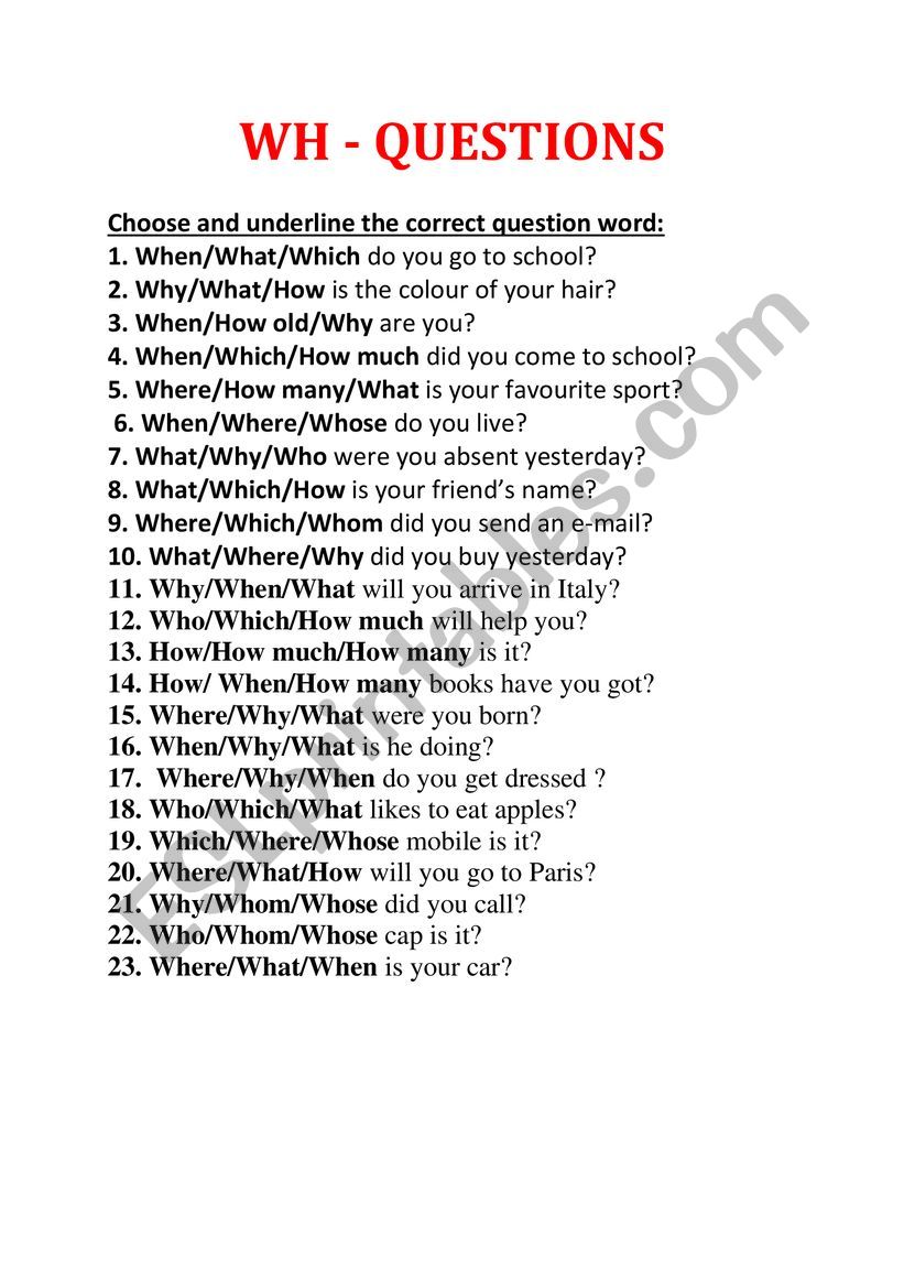 wh questions worksheet