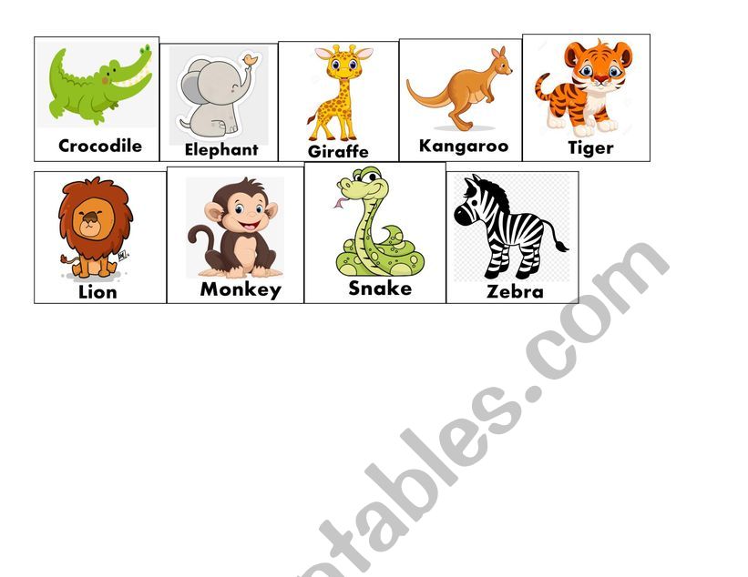 Zoo animals vocabulary pictures