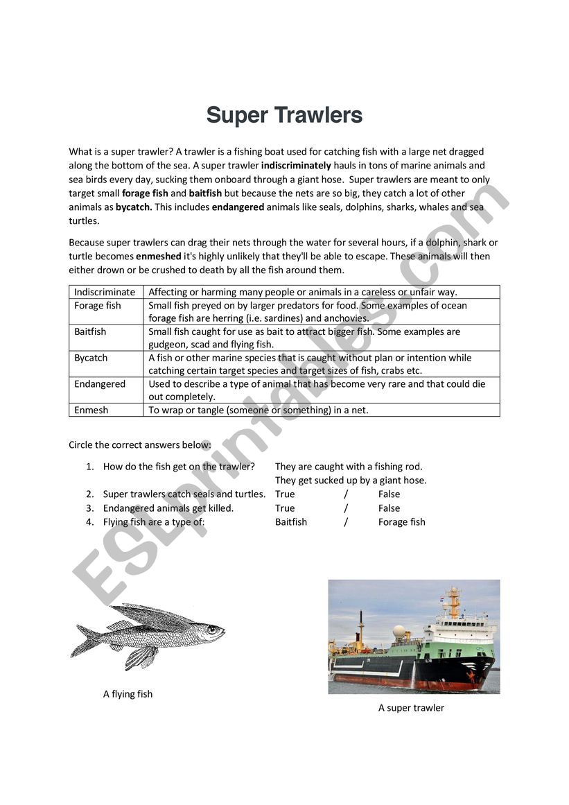 Super trawlers worksheet