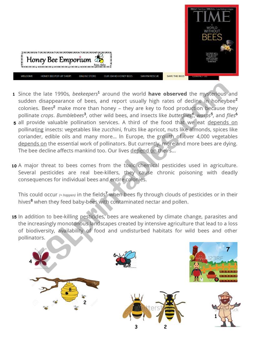 save the honeybee worksheet