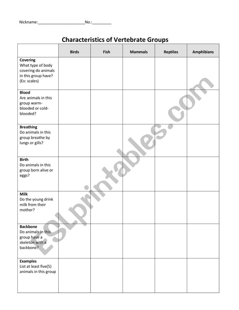 characteristic of the vertebrae group